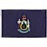 Valley Forge Flag 3 ft. x 5 ft. Nylon Maine State Flag