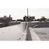 Bird-X 50 ft. Stainless Steel Bird Spikes Pigeons Starling Blackbirds Seagulls 6 in. Coverage