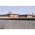 Bird-X 50 ft. Stainless Steel Bird Spikes Pigeons Starling Blackbirds Seagulls 6 in. Coverage