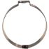 Apollo 1 in. Stainless-Steel Poly Pipe Pinch Clamps (10-Pack)