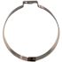 Apollo 1-1/4 in. Stainless-Steel Poly Pipe Pinch Clamps (10-Pack)