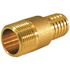 Apollo 1 in. x 1 in. Brass Barb x MPT Adapter