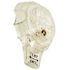 ProPlus 1 in. x 3-3/4 in. Temperature Control Handle for Mixet