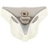 Proplus Tub and Shower Handle for Union Brass, Cold
