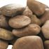 MSI Polished Red 0.5 cu. ft. per Bag (0.75 in. to 1.25 in.) Bagged Landscape Pebbles (1 Bag/0.5 cu. ft.)