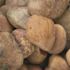 MSI Polished Red 0.5 cu. ft. per Bag (0.75 in. to 1.25 in.) Bagged Landscape Pebbles (1 Bag/0.5 cu. ft.)
