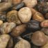 MSI Mixed Polished 0.5 cu. ft. per Bag (0.75 in. to 1.25 in.) Bagged Landscape Pebbles (1 Bag/0.5 cu. ft.)