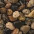 MSI Mixed Polished 0.5 cu. ft. per Bag (0.75 in. to 1.25 in.) Bagged Landscape Pebbles (1 Bag/0.5 cu. ft.)