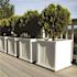 Mayne Cape Cod 20 in Square Self-Watering White Polyethylene Planter