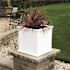 Mayne Cape Cod 20 in Square Self-Watering White Polyethylene Planter