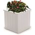 Mayne Cape Cod 20 in Square Self-Watering White Polyethylene Planter