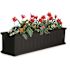 Mayne Cape Cod 48 in. x 11 in. Self-Watering Black Polyethylene Window Box