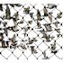 Bird-X 50 ft. x 100 ft. Heavy-Duty Bird Netting