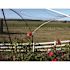 Bird-X 200 ft. x 14 ft. Standard Bird Netting