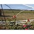 Bird-X 200 ft. x 14 ft. Standard Bird Netting