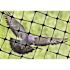 Bird-X 200 ft. x 14 ft. Standard Bird Netting
