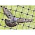 Bird-X 100 ft. x 14 ft. Standard Bird Netting