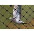 Bird-X 200 ft. x 14 ft. Structural Bird Netting