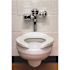 Zurn AquaSense E-Z Flush Retrofit Kit with Complete Plastic Cover in Chrome