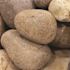 MSI Dorado Beach Medium (1 in. x 2 in.) 0.5 cu. ft. per Bag Bagged Landscape Rock (42 Bags/Covers 21 cu. ft.)