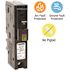 Square D Homeline 15 Amp Single-Pole Plug-On Neutral Dual Function (CAFCI and GFCI) Circuit Breaker