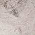 MSI Tundra Gray 12 in. x 12 in. Polished Marble Floor and Wall Tile (10 sq. ft./Case)