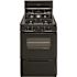 Premier 24 in. 2.97 cu. ft. Gas Range in Black