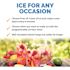 NewAir Portable 50 lb. of Ice a Day Countertop Ice Maker BPA Free Parts with 3 Ice Sizes and Easy to Clean - Stainless Steel