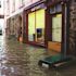 Quick Dam Flood Gate 40 in. - 45 in. Expanding Doorway Water Protection Barrier