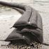 Quick Dam Water Activated 5 ft. Flood Barrier (26-Pack)