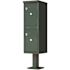 Florence USPS Delivery Pedestal Mounted vital Cluster Box Unit with 2 Parcel Lockers in Forest Green