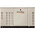 Generac Protector 60,000-Watt 120-Volt / 240-Volt 3-Phase Liquid-Cooled Whole House Generator
