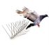 Bird-X 10 ft. Original Stainless Steel Bird Spikes Pigeons Starling Blackbirds Seagulls 6 in. Coverage