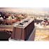 Bird-X 10 ft. Original Plastic Bird Spikes Bird Control Kit