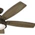 Hunter Channelside 52 in. LED Indoor/Outdoor Noble Bronze Ceiling Fan with Remote Control