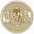 Leviton 600-Watt 250-Volt White Outlet Box Lampholder 49875
