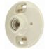 Leviton 600-Watt 250-Volt White Outlet Box Lampholder 49875
