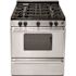 ProSeries 30 in. 3.91 cu. ft. Gas Range in Stainless Steel