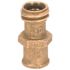 Cavagna GAS FORKLIFT QUICK CONNECTOR 3/8" FNPT X 1-1/4" MALE ACME