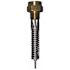 Cavagna GAS INTERNAL SPRING RELIEF VALVE 2795 FLOW 1" MNPT