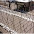 Bird-X 24 ft. Original Commercial Grade Stainless Steel Bird Spikes