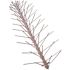 Bird-X Original Stainless Steel Bird Spikes 50 ft. Pigeons, Starling, Blackbirds, Seagulls 6 in. Coverage