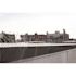 Bird-X Original Stainless Steel Bird Spikes 100 ft. Pigeons Starlings Blackbirds Seagulls 6 in. Coverage