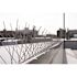 Bird-X Original Stainless Steel Bird Spikes 100 ft. Pigeons Starlings Blackbirds Seagulls 6 in. Coverage