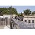 Bird-X Original Stainless Steel Bird Spikes 100 ft. Pigeons Starlings Blackbirds Seagulls 6 in. Coverage