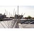 Bird-X Original Stainless Steel Bird Spikes 100 ft. Pigeons Starlings Blackbirds Seagulls 6 in. Coverage