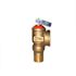 Wilkins 3/4 in. 30 PSI Brass Relief Valve