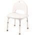 Creative Specialties Moen Tool Free Shower Chair, White