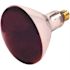 Satco 250-Watt R40 Medium Base Incandescent Heat Lamp Bulb (12-Pack)