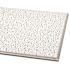 Armstrong CEILINGS Fissured 2 ft. x 2 ft. Tegular Ceiling Tile ( 64 sq.ft. /Case)